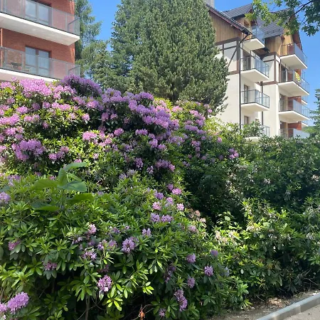 N&b Góry, Spa, Basen I Jacuzzi Apartament *